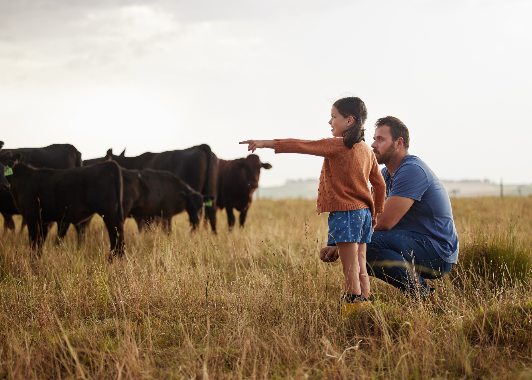 A father and daughter with cattle